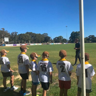 modbury hawks cricket club sponsor physiotherapy for peak performance my local physio sport 